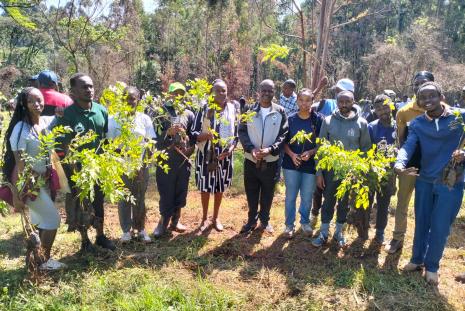 Tree planting